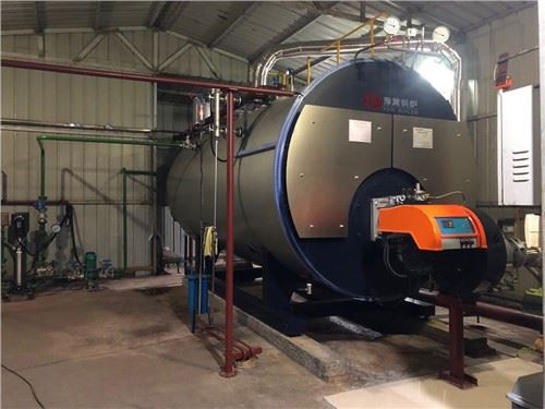 Chaudière à vapeur de 6000 kg alimentée au diesel par WNS en Chine